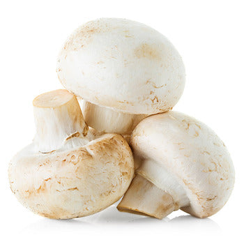 mushrooms - white - WHOLE - #3 - fresh - CASE/10lb/4.54kg